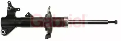 gabriel-g54257