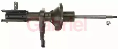 gabriel-g54390
