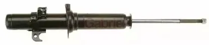 gabriel-g55774