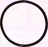 50990095 KLOKKERHOLM Прокладка, датчик уровня топлива