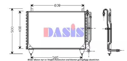aksdasis-122810n