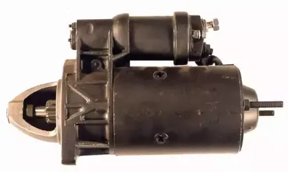 friesen-8011691