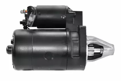 friesen-8052304
