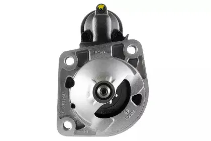 friesen-8080252