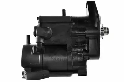 friesen-8080269