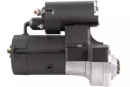 friesen-8080348