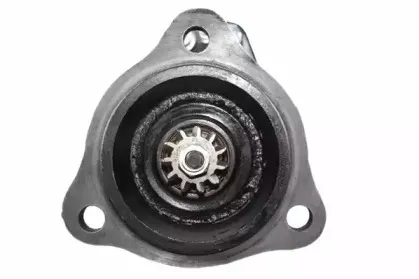 friesen-8817850