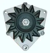 friesen-9030170