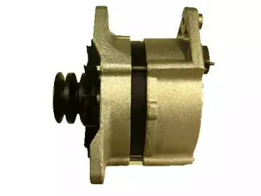 friesen-9030560