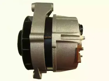 friesen-9030570