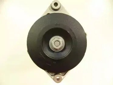 friesen-9030570