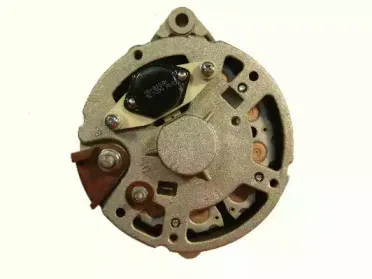 friesen-9030570