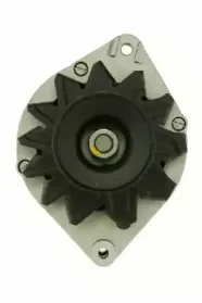 friesen-9030620