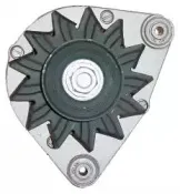 friesen-9030670
