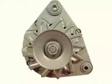 friesen-9030680