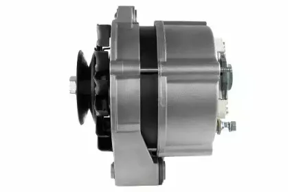 friesen-9030690
