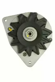 friesen-9030760