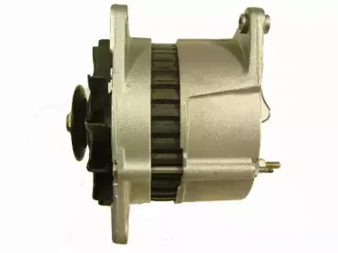 friesen-9030790