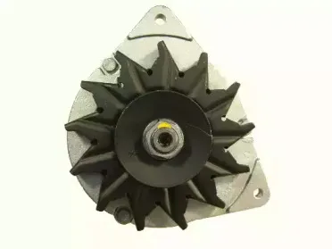 friesen-9030790