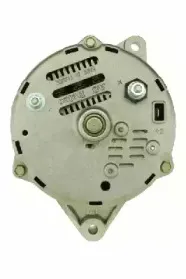 friesen-9030830