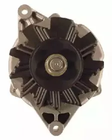 friesen-9030840
