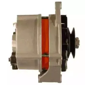 friesen-9030880