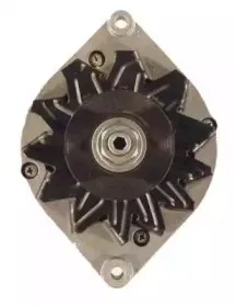 friesen-9030880