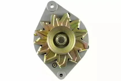 friesen-9030920