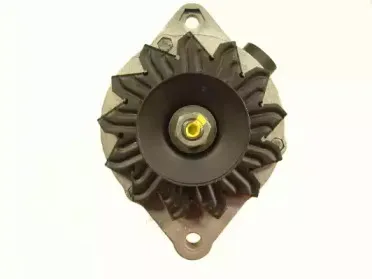 friesen-9030980