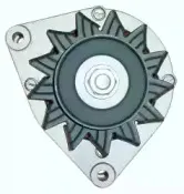 friesen-9031440