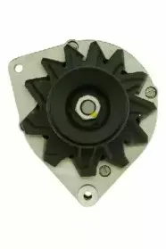 friesen-9031500