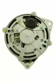 friesen-9031500