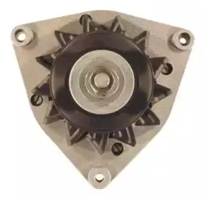 friesen-9031540
