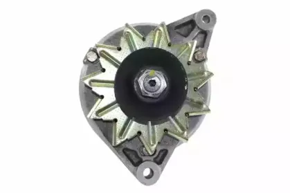 friesen-9031671