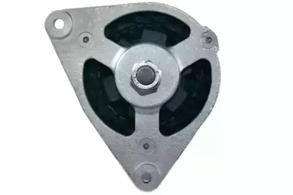 friesen-9031701