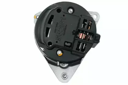 friesen-9031701