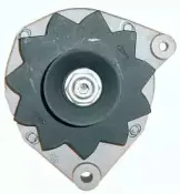 friesen-9031711