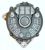friesen-9031711