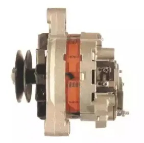 friesen-9031731