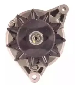 friesen-9031731