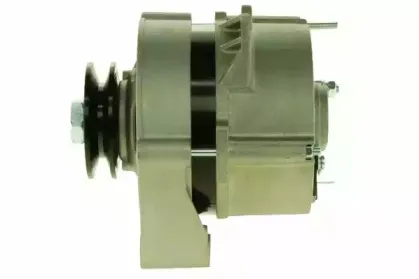 friesen-9031931