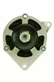 friesen-9031931