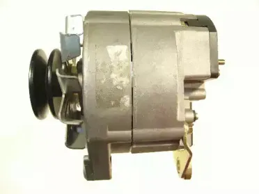 friesen-9031991