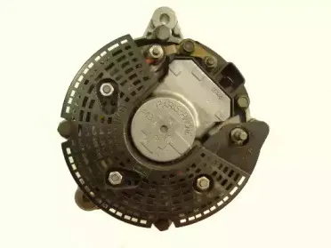 friesen-9032031