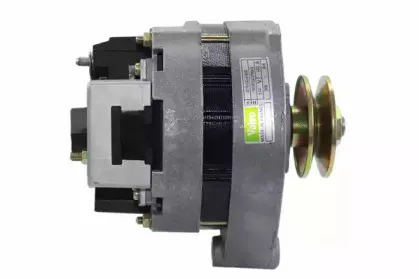 friesen-9032081