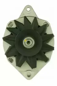 friesen-9032311