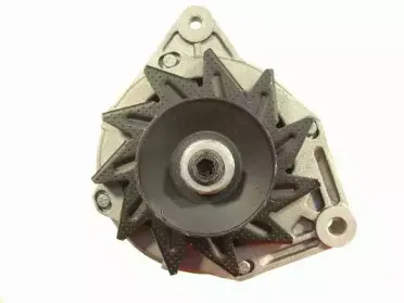 friesen-9032321