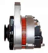 friesen-9032341
