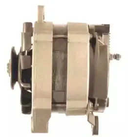 friesen-9032361