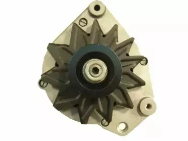 friesen-9032730